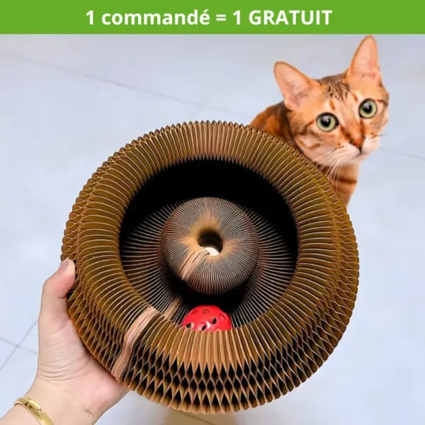 LudiGriff© - Le Jouet Révolutionnaire pour Chats