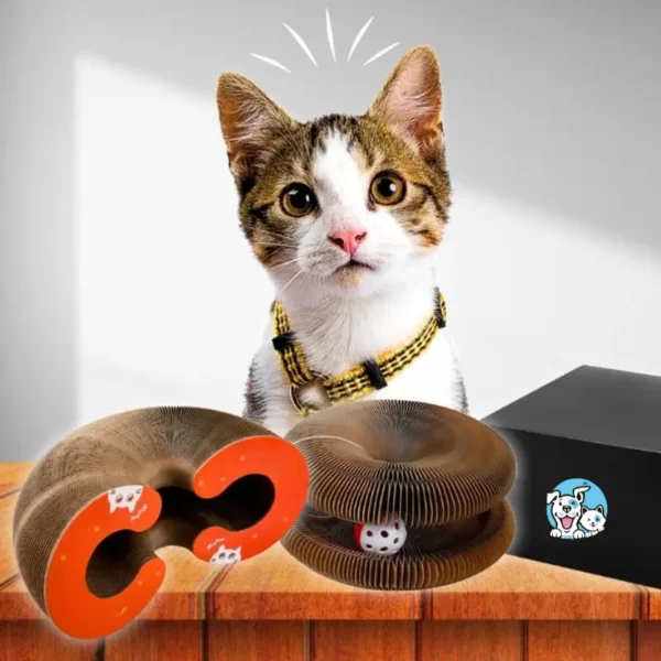 LudiGriff© - Le Jouet Révolutionnaire pour Chats – Image 2