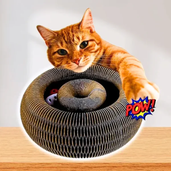 LudiGriff© - Le Jouet Révolutionnaire pour Chats – Image 4