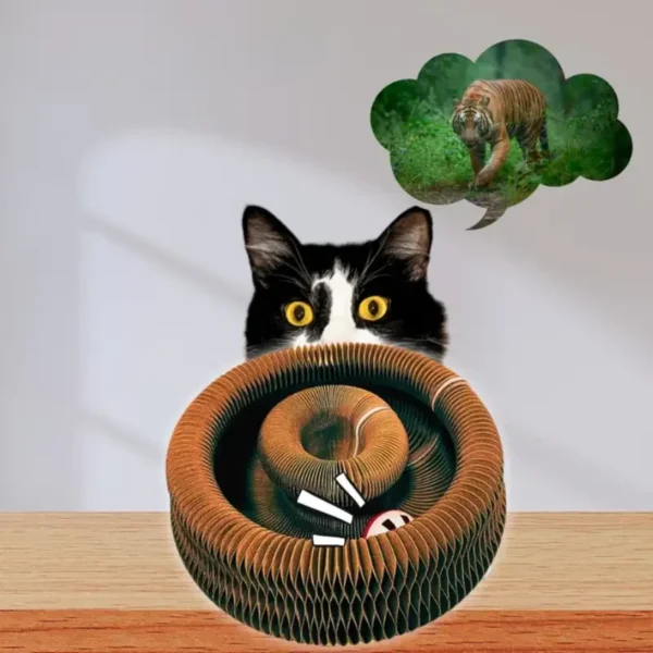 LudiGriff© - Le Jouet Révolutionnaire pour Chats – Image 6