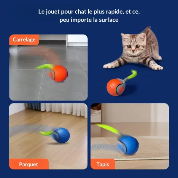 Queue Frénétique - Jouet pour Chat – Image 4