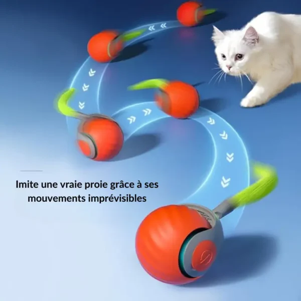 Queue Frénétique - Jouet pour Chat – Image 3